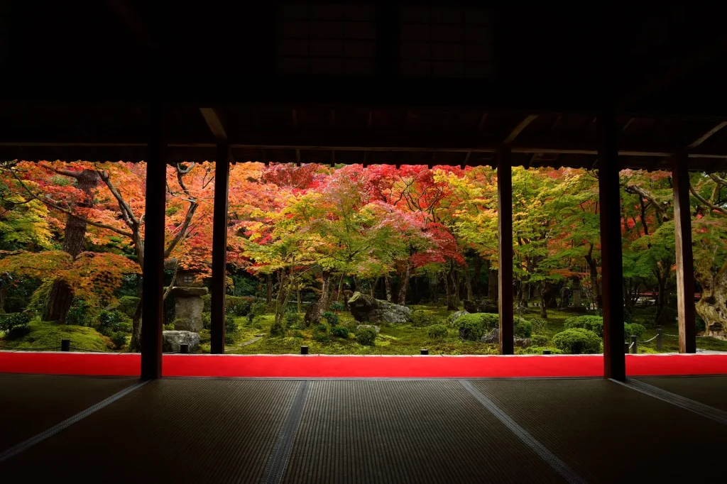 宿ya LODGE dog houseー圓光寺